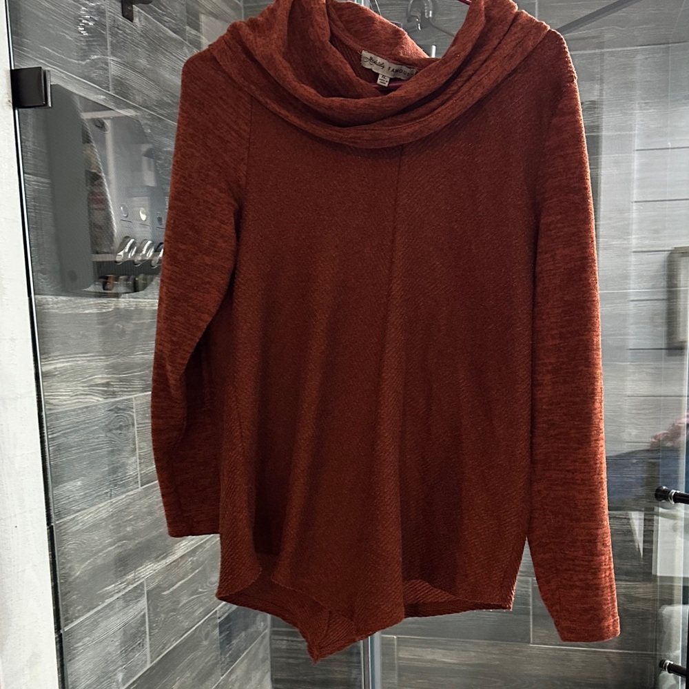 Absolutely Famous Burnt Orange Cowl Neck Sweater
